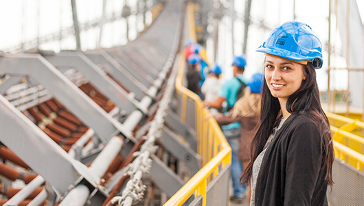 Français Langue d'Insertion (FLI) MOOC_FLI_replay_2020